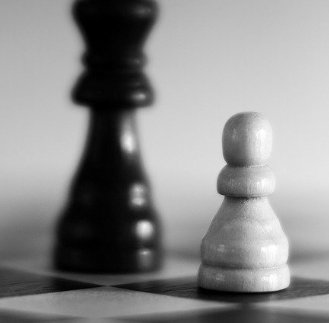 中国装配式建筑必赢棋牌游戏与山东泰山
