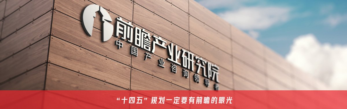 "十四五"关于前瞻