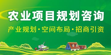 湾区必赢棋牌游戏注册福利集群平台组织