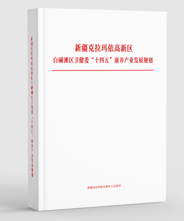 如何制定因地制宜发展新质生产力路径