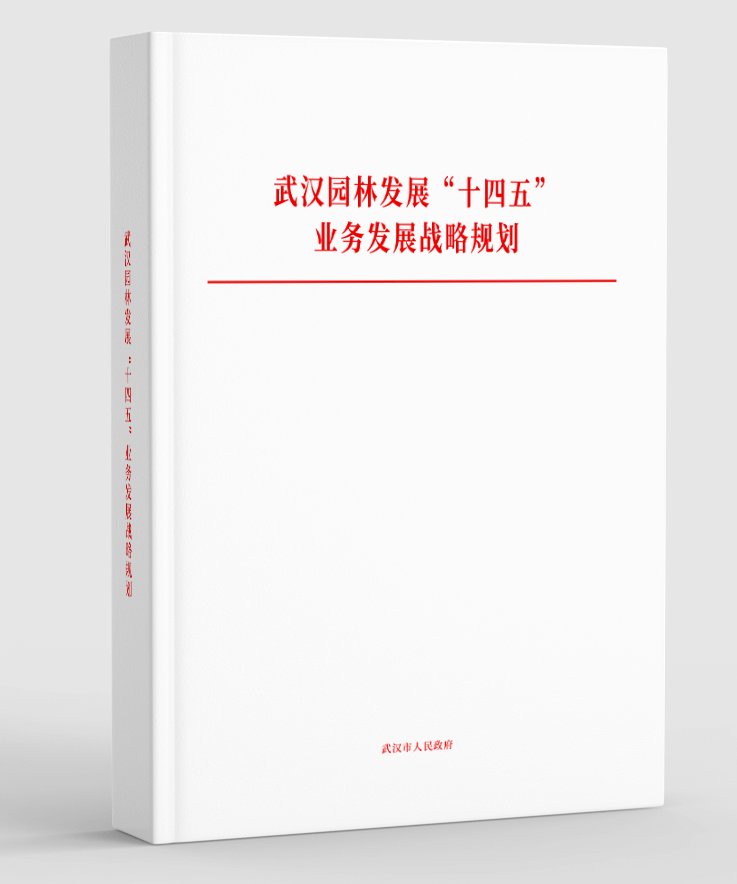 痛点等突出问题