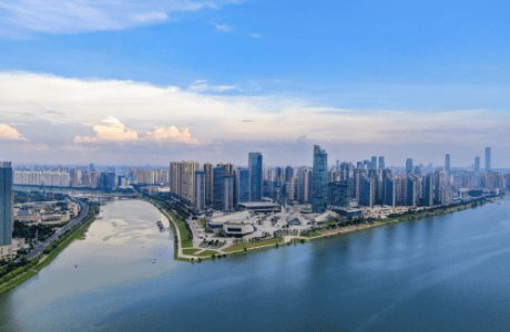 政府开始建立国家制药体系