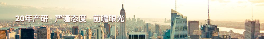 判断未来项目产品/服务的发展前景
