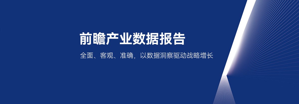 精选专题报告